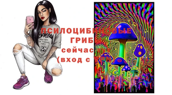 дмт Алексин