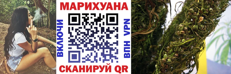 Конопля OG Kush  Юрьев-Польский 